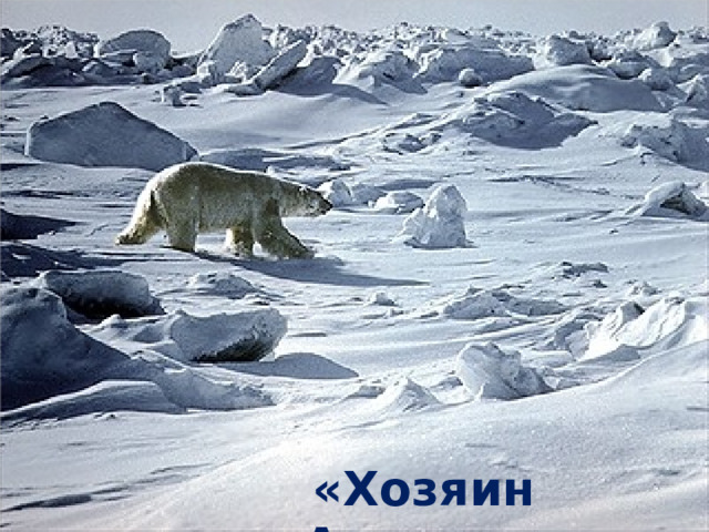 «Хозяин Арктики» 