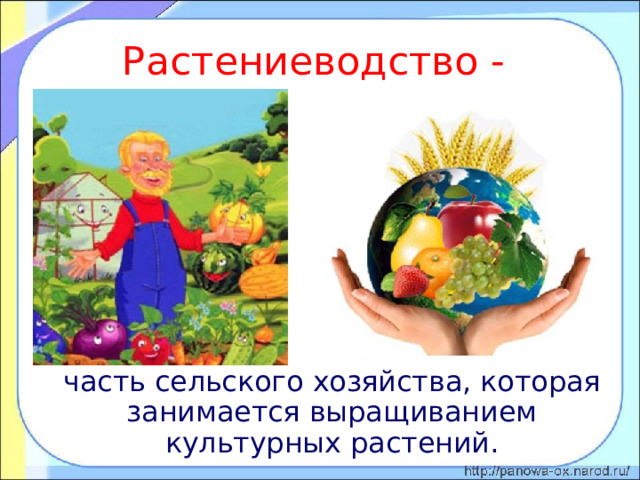 Растениеводство -  часть сельского хозяйства, которая занимается выращиванием культурных растений. 