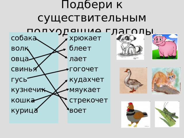 Подбери к существительным подходящие глаголы. хрюкает блеет лает гогочет кудахчет мяукает стрекочет воет собака волк овца свинья гусь кузнечик кошка курица 