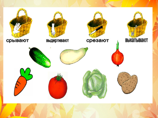 Разложи по корзинкам  