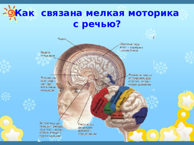 Как связана мелкая моторика с речью? 