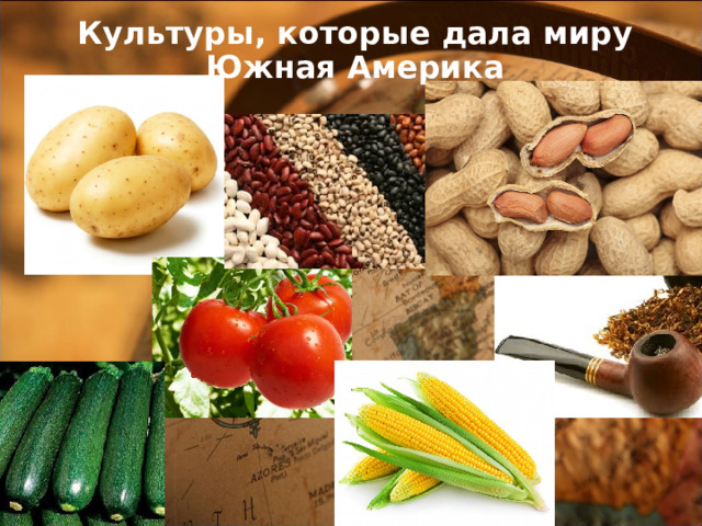 Культуры, которые дала миру Южная Америка 