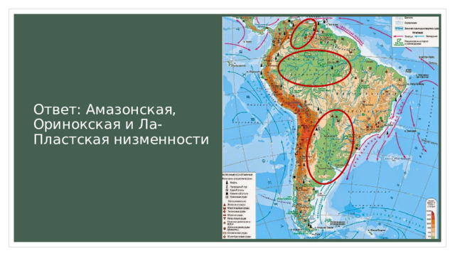 Ответ: Амазонская, Оринокская и Ла-Пластская низменности 