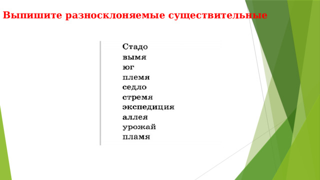 Выпишите разносклоняемые существительные 