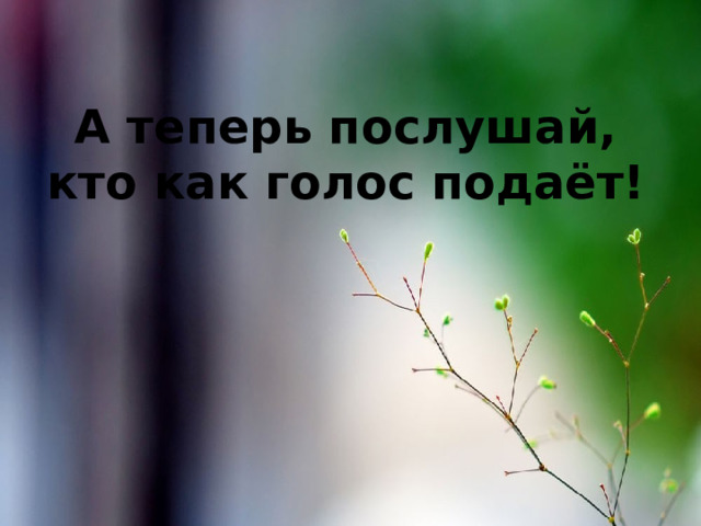 А теперь послушай,  кто как голос подаёт! 