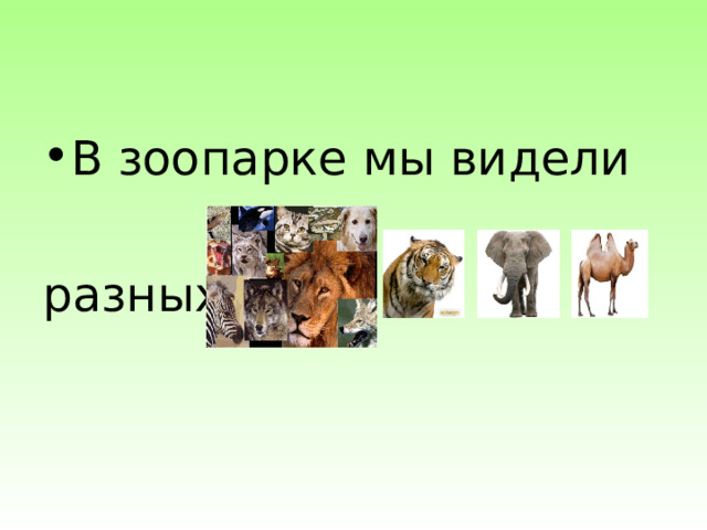 В зоопарке мы видели разных … 