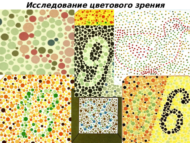 Исследование цветового зрения 