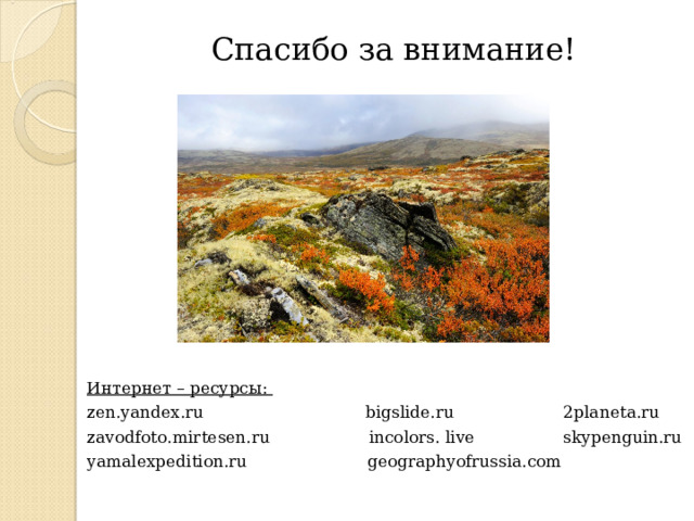 Спасибо за внимание! Интернет – ресурсы: zen.yandex.ru  bigslide.ru  2planeta.ru zavodfoto.mirtesen.ru  incolors.  live  skypenguin.ru yamalexpedition.ru  geographyofrussia.com 