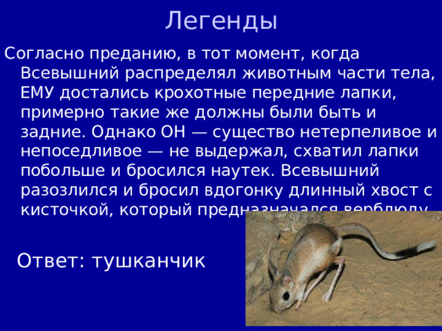 Легенды Согласно преданию, в тот момент, когда Всевышний распределял животным части тела, ЕМУ достались крохотные передние лапки, примерно такие же должны были быть и задние. Однако ОН — существо нетерпеливое и непоседливое — не выдержал, схватил лапки побольше и бросился наутек. Всевышний разозлился и бросил вдогонку длинный хвост с кисточкой, который предназначался верблюду Ответ: тушканчик 