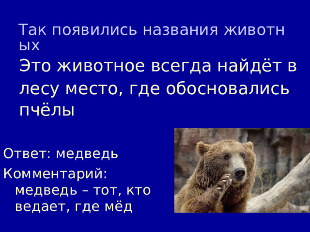 Так появились названия животных Это животное всегда найдёт в лесу место, где обосновались пчёлы  Ответ: медведь Комментарий: медведь – тот, кто ведает, где мёд 