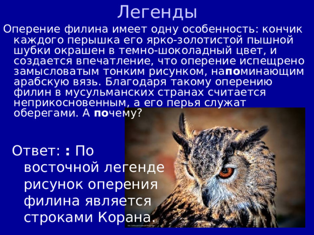 Легенды Оперение филина имеет одну особенность: кончик каждого перышка его ярко-золотистой пышной шубки окрашен в темно-шоколадный цвет, и создается впечатление, что оперение испещрено замысловатым тонким рисунком, на по минающим арабскую вязь. Благодаря такому оперению филин в мусульманских странах считается неприкосновенным, а его перья служат оберегами. А по чему? Ответ: : По восточной легенде рисунок оперения филина является строками Корана. 