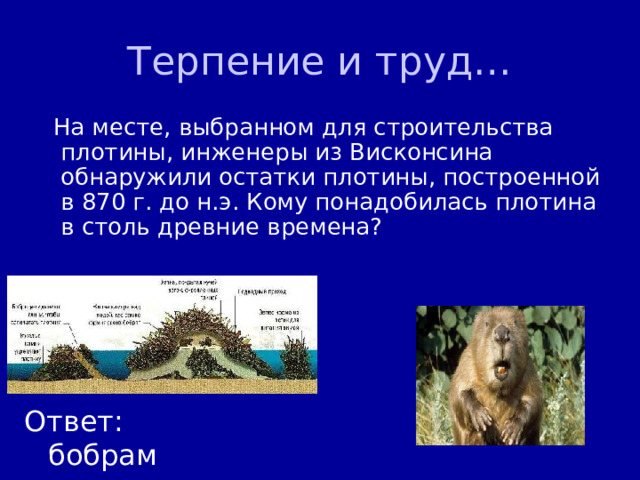Терпение и труд…  На месте, выбранном для строительства плотины, инженеры из Висконсина обнаружили остатки плотины, построенной в 870 г. до н.э. Кому понадобилась плотина в столь древние времена? Ответ: бобрам 