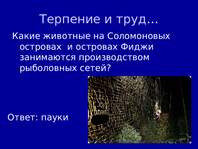 Терпение и труд … Какие животные на Соломоновых островах и островах Фиджи занимаются производством рыболовных сетей? Ответ: пауки 