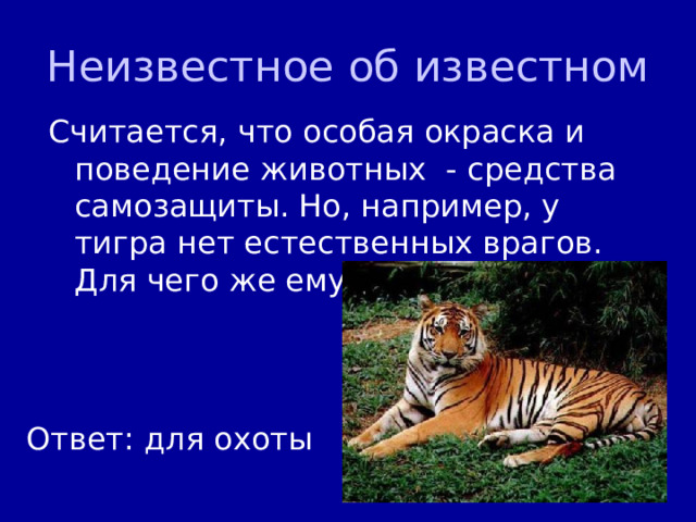 Неизвестное об известном Считается, что особая окраска и поведение животных - средства самозащиты. Но, например, у тигра нет естественных врагов. Для чего же ему нужны полосы? Ответ: для охоты 