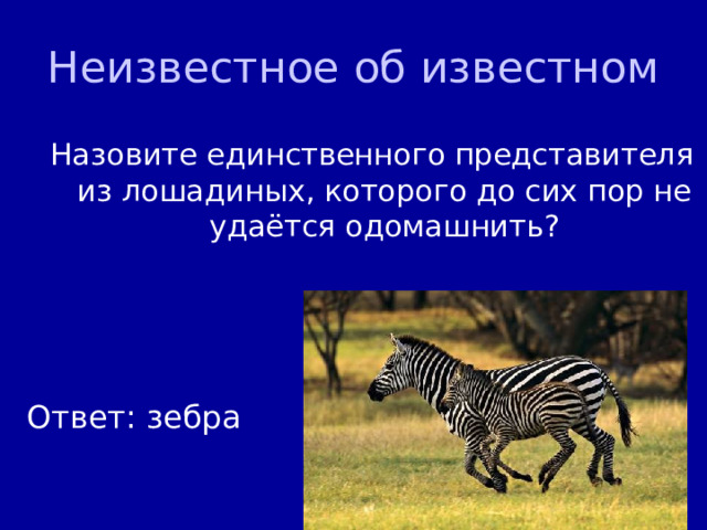 Неизвестное об известном Назовите единственного представителя из лошадиных, которого до сих пор не удаётся одомашнить? Ответ: зебра 