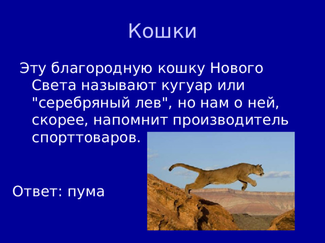 Кошки Эту благородную кошку Нового Света называют кугуар или 