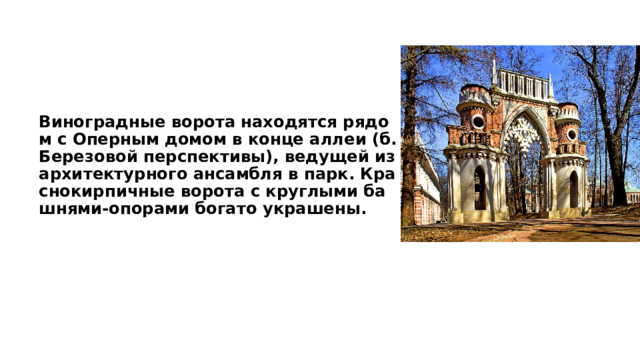 Виноградные ворота находятся рядом с Оперным домом в конце аллеи (б. Березовой перспективы), ведущей из архитектурного ансамбля в парк. Краснокирпичные ворота с круглыми башнями-опорами богато украшены.   