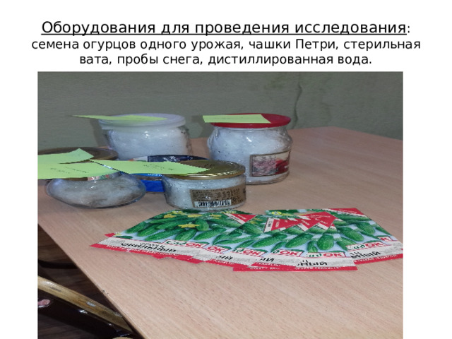 Оборудования для проведения исследования : семена огурцов одного урожая, чашки Петри, стерильная вата, пробы снега, дистиллированная вода. 