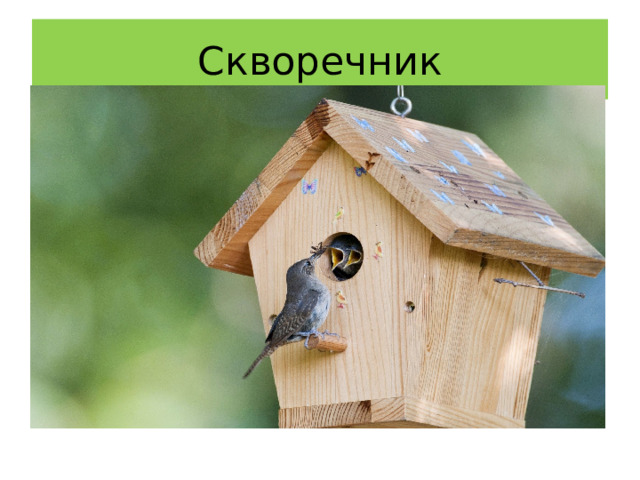 Скворечник 