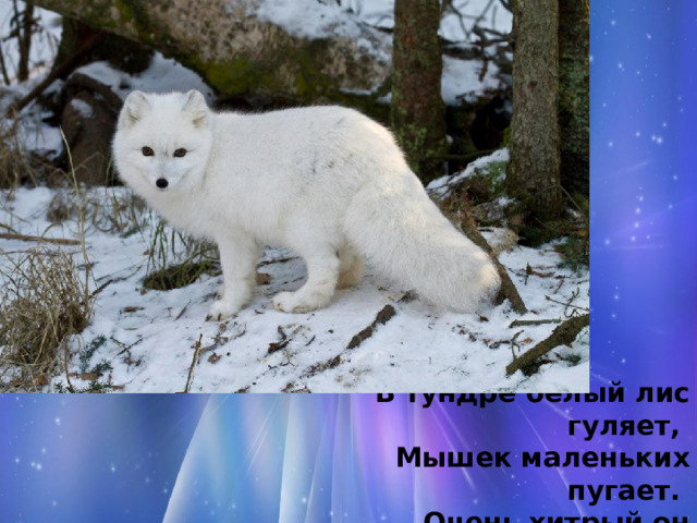 В тундре белый лис гуляет,  Мышек маленьких пугает.  Очень хитрый он ловец.  Как зовут его? (песец). 