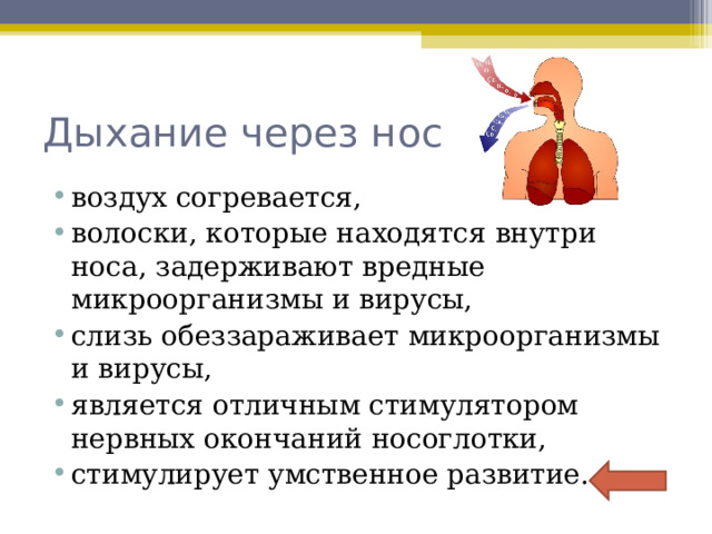 Дыхание через нос воздух согревается, волоски, которые находятся внутри носа, задерживают вредные микроорганизмы и вирусы, слизь обеззараживает микроорганизмы и вирусы, является отличным стимулятором нервных окончаний носоглотки, стимулирует умственное развитие.  