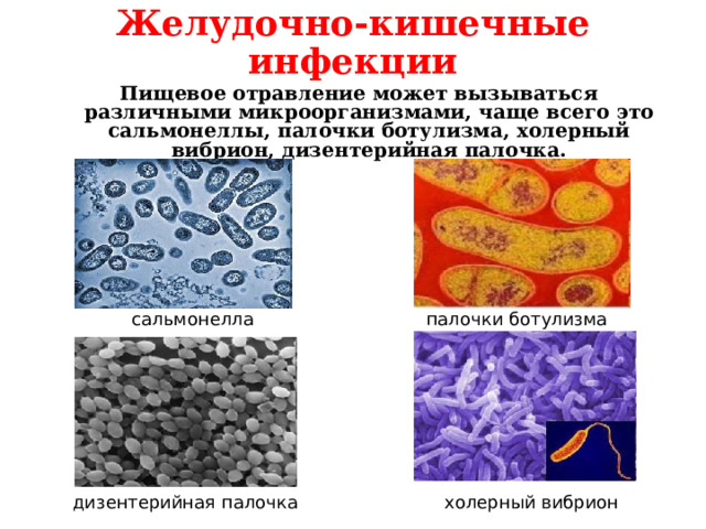 Желудочно-кишечные инфекции  Пищевое отравление может вызываться различными микроорганизмами, чаще всего это сальмонеллы, палочки ботулизма, холерный вибрион, дизентерийная палочка. сальмонелла палочки ботулизма холерный вибрион дизентерийная палочка 