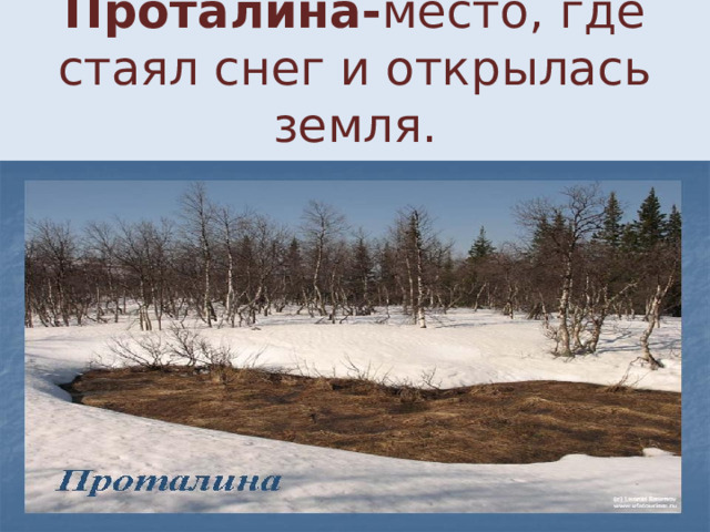 Проталина- место, где стаял снег и открылась земля. 