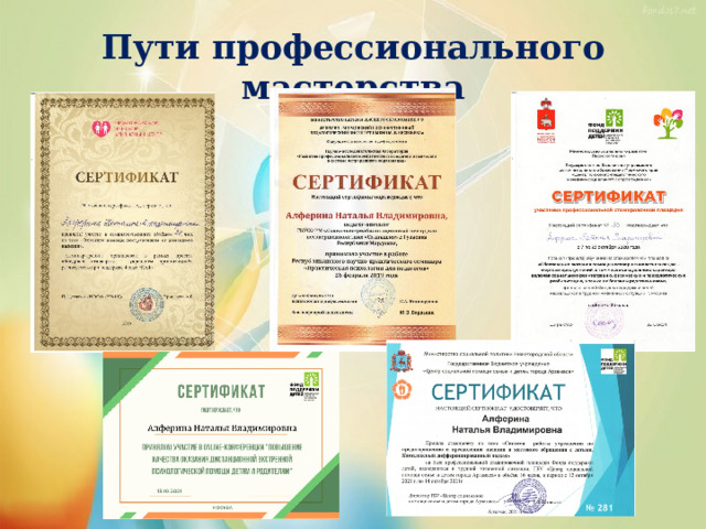 Пути профессионального мастерства 