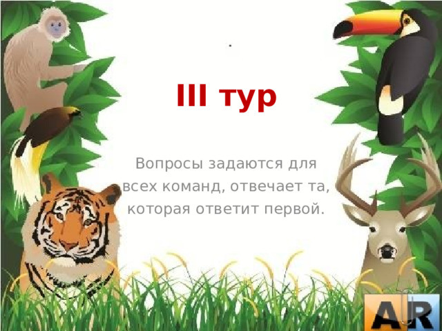  III тур Вопросы задаются для всех команд, отвечает та, которая ответит первой. 