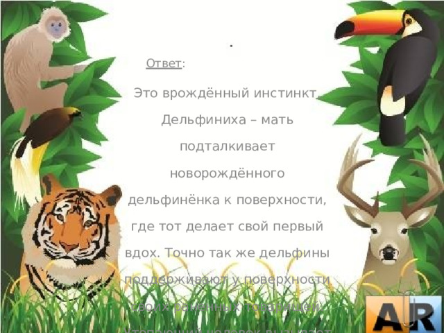  Ответ :  Это врождённый инстинкт. Дельфиниха – мать подталкивает новорождённого дельфинёнка к поверхности, где тот делает свой первый вдох. Точно так же дельфины поддерживают у поверхности своих раненных товарищей. Утопающий человек вызывает у них инстинктивное желание спасти его. 