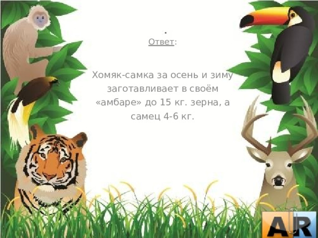  Ответ : Хомяк-самка за осень и зиму заготавливает в своём «амбаре» до 15 кг. зерна, а самец 4-6 кг. 