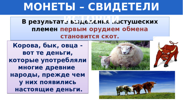 МОНЕТЫ – СВИДЕТЕЛИ ИСТОРИИ В результате выделения пастушеских племен первым орудием обмена становится скот. Корова, бык, овца - вот те деньги, которые употребляли многие древние народы, прежде чем у них появились  настоящие деньги. 