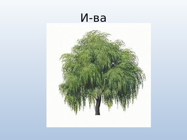 И-ва 
