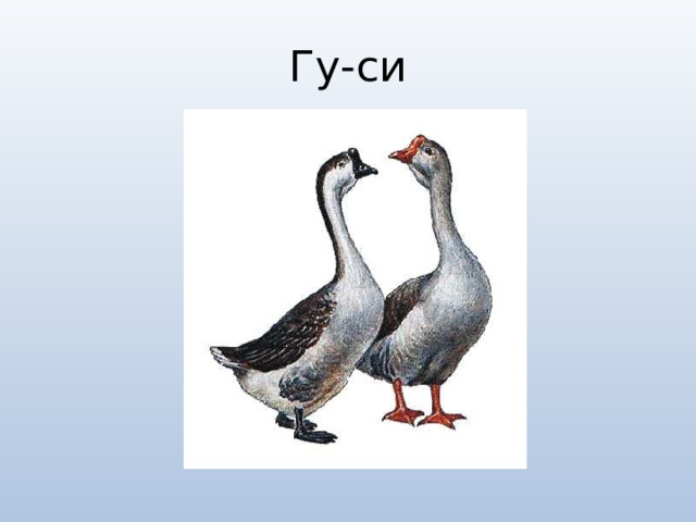 Гу-си 