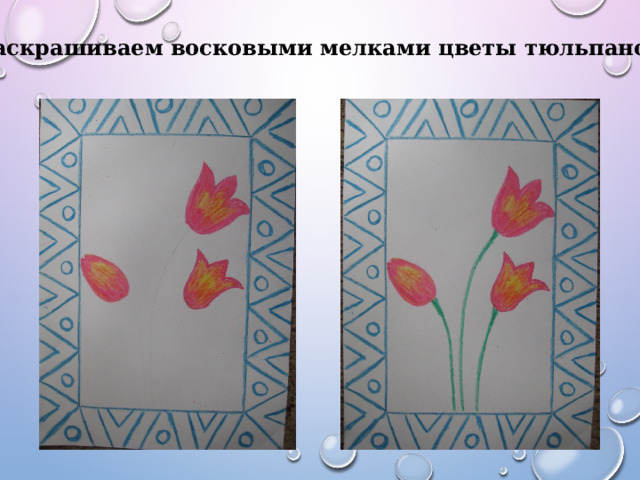 Раскрашиваем восковыми мелками цветы тюльпанов 