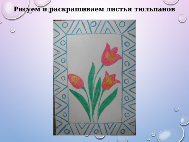 Рисуем и раскрашиваем листья тюльпанов 