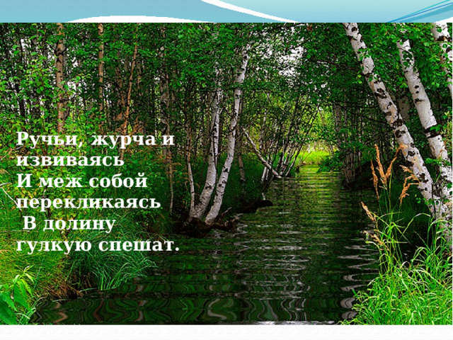 Ручьи, журча и извиваясь И меж собой перекликаясь  В долину гулкую спешат. 