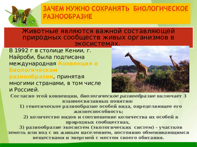Животные являются важной составляющей природных сообществ живых организмов в экосистемах. В 1992 г в столице Кении, г. Найроби, была подписана международная Конвенция о биологическом разнообразии , принятая многими странами, в том числе и Россией. Согласно этой конвенции, биологическое разнообразие включает 3 взаимосвязанных понятия:  1) генетическое разнообразие особей вида, определяющее его жизнеспособность;  2) количество видов и соотношение количества их особей в природных сообществах,  3) разнообразие экосистем (экологических систем) - участков земель или вод с их живым населением, постоянно обменивающимся веществами и энергией с местом своего обитания. 