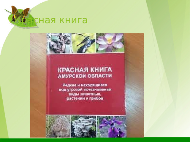 Красная книга 
