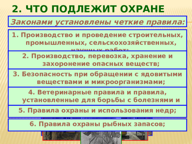 2. Что подлежит охране Законами установлены четкие правила:  1. Производство и проведение строительных, промышленных, сельскохозяйственных, научных работ; 2. Производство, перевозка, хранение и захоронение опасных веществ; 3. Безопасность при обращении с ядовитыми веществами и микроорганизмами; 4. Ветеринарные правила и правила, установленные для борьбы с болезнями и вредителями растений; 5. Правила охраны и использования недр; 6. Правила охраны рыбных запасов; 