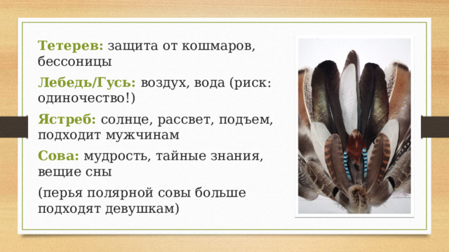 Тетерев: защита от кошмаров, бессоницы Лебедь/Гусь: воздух, вода (риск: одиночество!) Ястреб:  солнце, рассвет, подъем, подходит мужчинам Сова:  мудрость, тайные знания, вещие сны (перья полярной совы больше подходят девушкам) . 