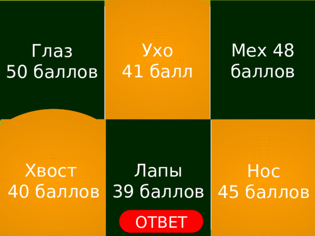 Мех 48 баллов Ухо 41 балл Глаз 50 баллов Хвост 40 баллов Лапы 39 баллов Нос 45 баллов ОТВЕТ ОТВЕТ 