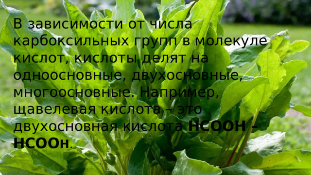 В зависимости от числа карбоксильных групп в молекуле кислот, кислоты делят на одноосновные, двухосновные, многоосновные. Например, щавелевая кислота – это двухосновная кислота  HCOOH – HCOO H . В зависимости от числа карбоксильных групп в молекуле кислот, кислоты делят на одноосновные, двухосновные, многоосновные. Например, щавелевая кислота – это двухосновная кислота  HCOOH – HCOOH .  