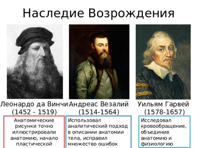 Наследие Возрождения Леонардо да Винчи Андреас Везалий Уильям Гарвей (1452 - 1519) (1514-1564) (1578-1657) Анатомические рисунки точно иллюстрировали анатомию, начало пластической анатомии Использовал аналитический подход в описании анатомии тела, исправил множество ошибок Галена Исследовал кровообращение, объединив анатомию и физиологию  