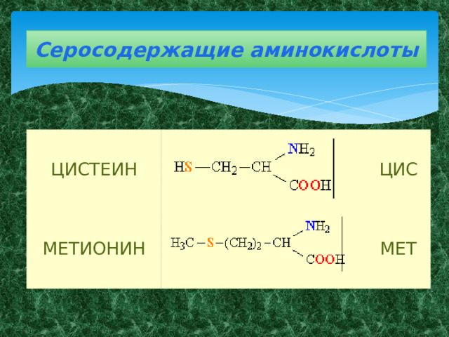 Серосодержащие аминокислоты ЦИСТЕИН МЕТИОНИН ЦИС МЕТ 