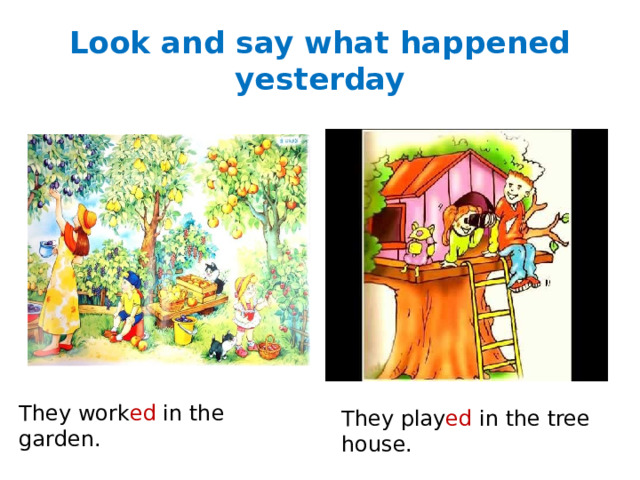 Look and say what happened yesterday They work ed in the garden. They play ed in the tree house. 