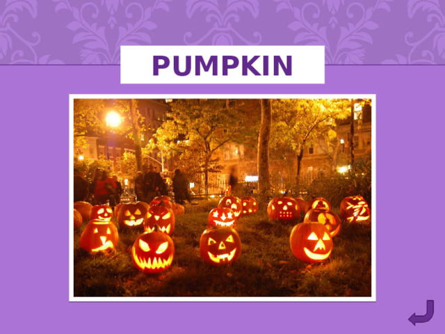 PUMPKIN 