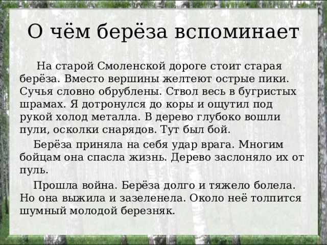 О чём берёза вспоминает  На старой Смоленской дороге стоит старая берёза. Вместо вершины желтеют острые пики. Сучья словно обрублены. Ствол весь в бугристых шрамах. Я дотронулся до коры и ощутил под рукой холод металла. В дерево глубоко вошли пули, осколки снарядов. Тут был бой.  Берёза приняла на себя удар врага. Многим бойцам она спасла жизнь. Дерево заслоняло их от пуль.  Прошла война. Берёза долго и тяжело болела. Но она выжила и зазеленела. Около неё толпится шумный молодой березняк. 