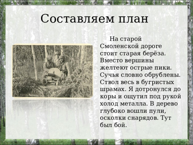 Составляем план  На старой Смоленской дороге стоит старая берёза. Вместо вершины желтеют острые пики. Сучья словно обрублены. Ствол весь в бугристых шрамах. Я дотронулся до коры и ощутил под рукой холод металла. В дерево глубоко вошли пули, осколки снарядов. Тут был бой. 