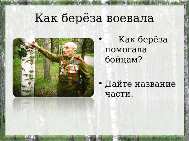 Как берёза воевала  Как берёза помогала бойцам?  Дайте название части.  